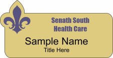 (image for) Senath South Health Care Shaped Gold Badge