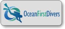 (image for) Ocean First Divers Silver Badge