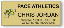 (image for) Pace University Athletics Gold Badge