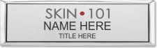 (image for) Skin 101 Small Executive Silver Badge