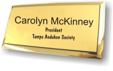 (image for) Tampa Audubon Society Executive Gold Badge