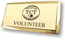 (image for) Tehachapi Community Theatre Executive Gold Badge