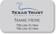 (image for) Texas Trust Credit Union Large Silver Badge