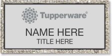 (image for) Tupperware Gray Logo Silver Bling Badge