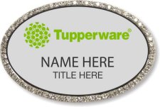 (image for) Tupperware Green Logo Oval Silver Bling Badge