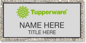 (image for) Tupperware Green Logo Silver Bling Badge