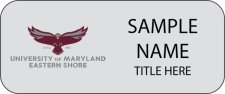 (image for) University of Maryland Eastern Shore Standard Silver badge (Stacked Name)
