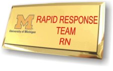 (image for) University of Michigan Executive Gold Badge