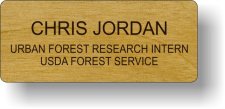 (image for) USDA Forest Service Woodgrain Badge