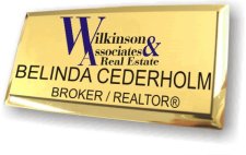 (image for) Wilkinson and Associates Gold Executive Badge