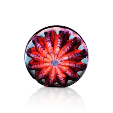 (image for) Atlantic Urchin Art Glass Award