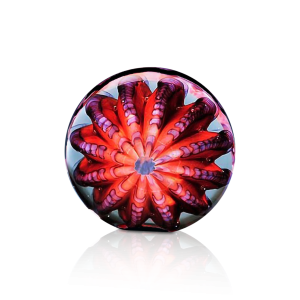 (image for) Atlantic Urchin Art Glass Award