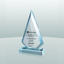 (image for) Arrowhead Award