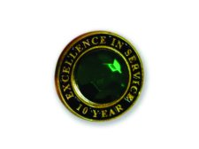 (image for) Excellence in Service Gem Lapel Pin