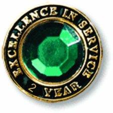 (image for) Excellence in Service Gem Lapel Pin - 2 Year