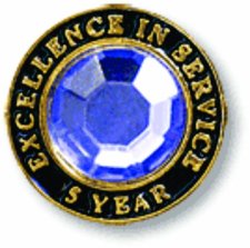 (image for) Excellence in Service Purple Gem Lapel Pin - 5 Year