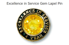 (image for) Excellence in Service Gem Lapel Pins