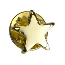 (image for) Gold Star Recognition Pin