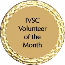(image for) IVSC Volunteer of the Month Lapel Pin - Gold