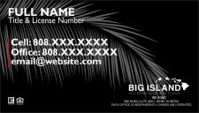 (image for) Keller Williams Big Island Business Cards Black with Leaf - Pack of 500