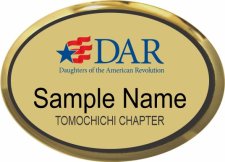 (image for) DAR Tomochichi Chapter Gold Oval Executive Badge