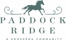 (image for) Paddock Ridge
