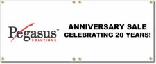 (image for) Pegasus Solutions Banner Logo Left