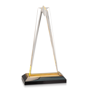 (image for) Gold Star Impress Acrylic Award - Large: 8.25 Inches