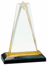 (image for) Gold Star Impress Acrylic Award - Large: 8.25 Inches