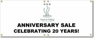 (image for) Surprise Valley Hot Springs Banner Logo Center