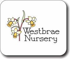 (image for) Westbrae Nursery Mousepad