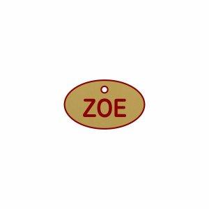 (image for) ZOE Pin For Name Badge