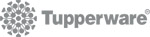 (image for) Tupperware Gray Logo Name Badges